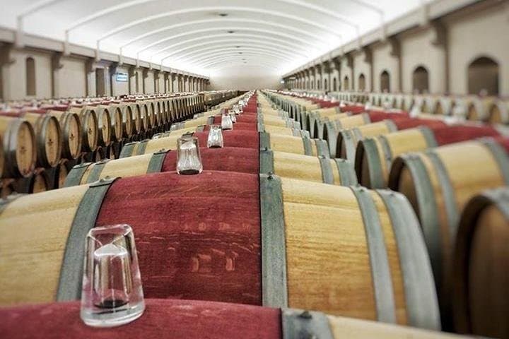 Bordeaux wine tour