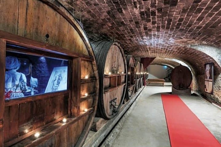 CHATEAU ST MARTIN