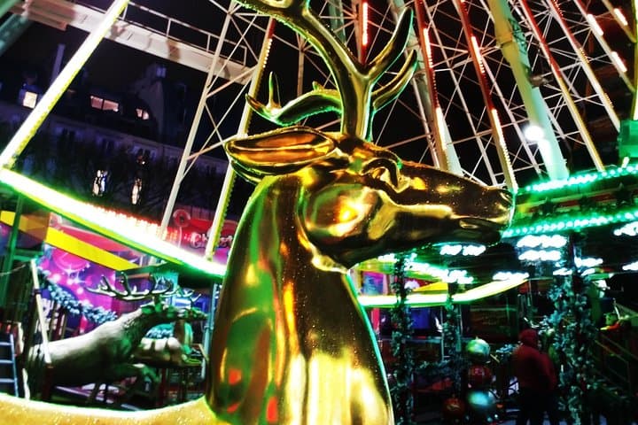 Paris Christmas Illuminations and Local Festivities Private Tour