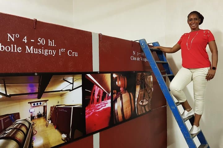 Private Wine Tour to Burgundy Region from Paris