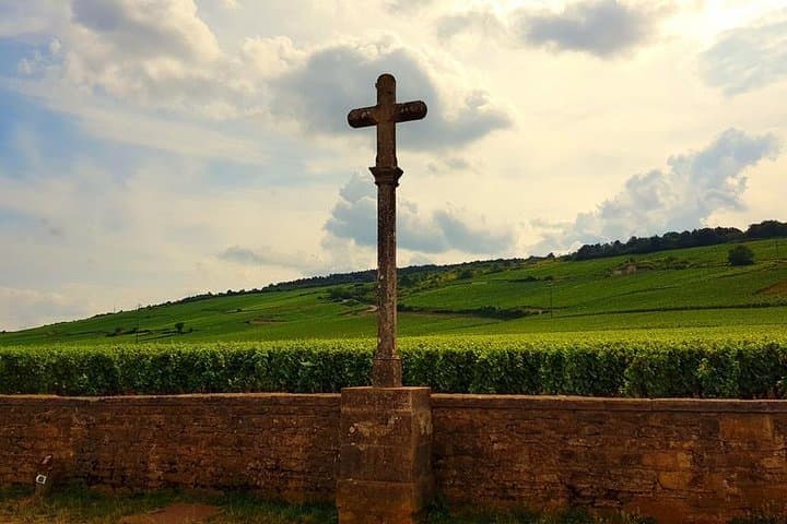 Private Wine Tour to Burgundy Region from Paris