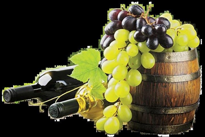 provence wine tasting