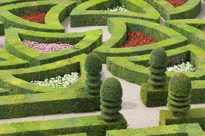 FAMOUS GARDEN "à la française"