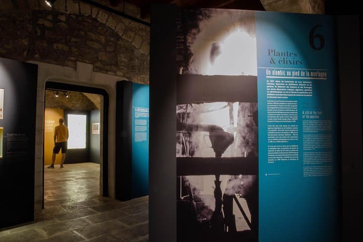 Visit of the Artemisia museum