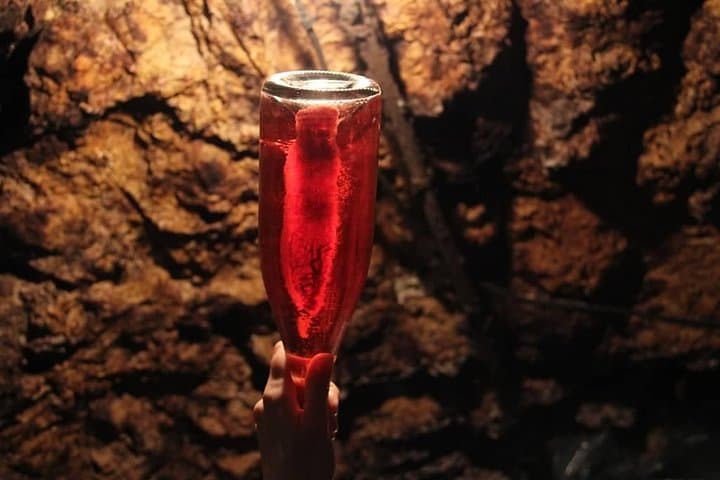 Learning about the traditional method during wine-cellar tour