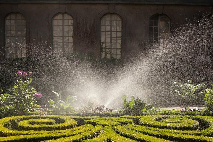 Carnavalet garden