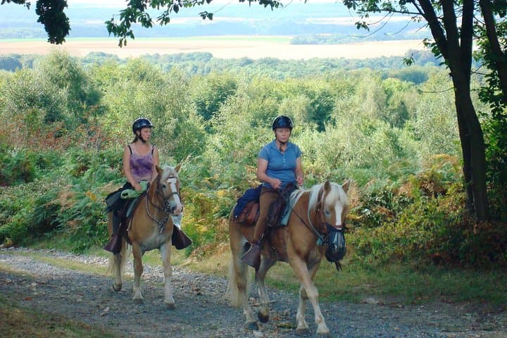 Horse riding in the French countryside between Paris and Lille
