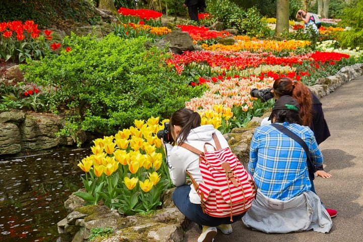 7-Day Taste of Central Europe from Paris: Germany, Netherlands, Belgium, Luxembourg and France