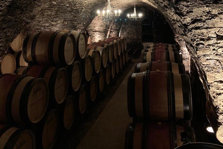 Private full day tour in Burgundy : Historic & Wine Journey