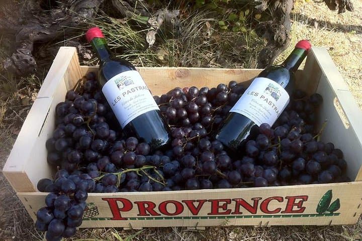 Grape Stomping in Provence