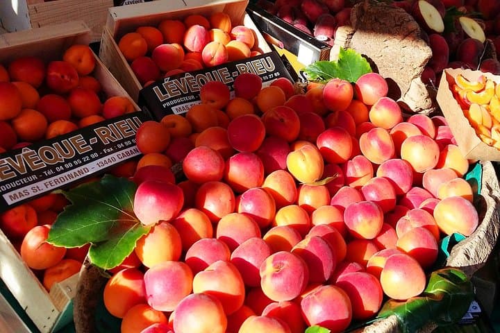 ripe sunny apricots at local French market