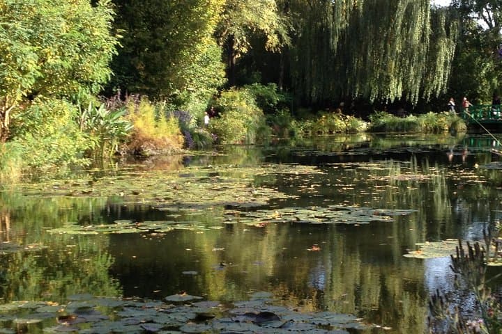 The Water-lily pond