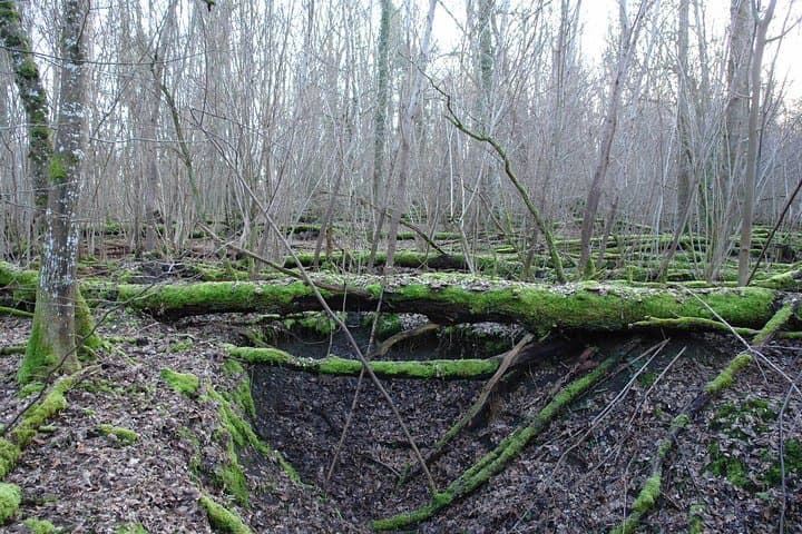 World War 1 Walk Through Trenches and Bunkers
