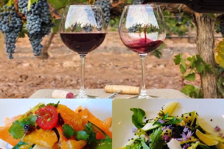 Wine and Food Fun