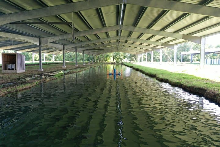 English Tour into the Sturgeon Farm With a Master Class Tasting