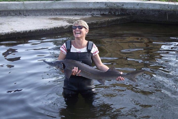 English Tour into the Sturgeon Farm With a Master Class Tasting