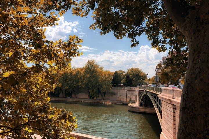 Historical Paris Walking Tour to Vibrant Food Market