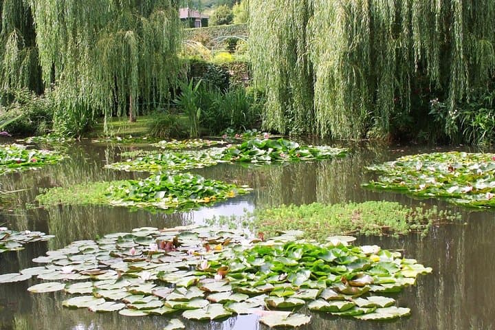 Giverny Day with Monet Foundation Audio Guided Tour from Paris