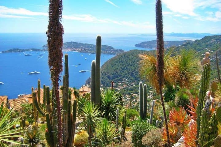 Excursion partagée Eze, Monaco & Monte Carlo from Nice