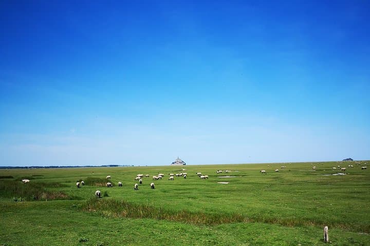 Mont Saint-Michel Day Trip from Bayeux (Shared tour)