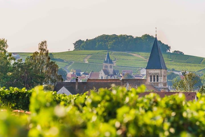 Champagne vineyard near Reims.
Photo credit: © Cyrille Beudot - Tourist Office of Grand Reims