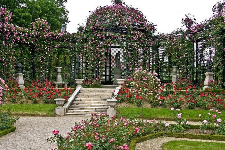 Beautiful Nice History and Attractions - Private tour