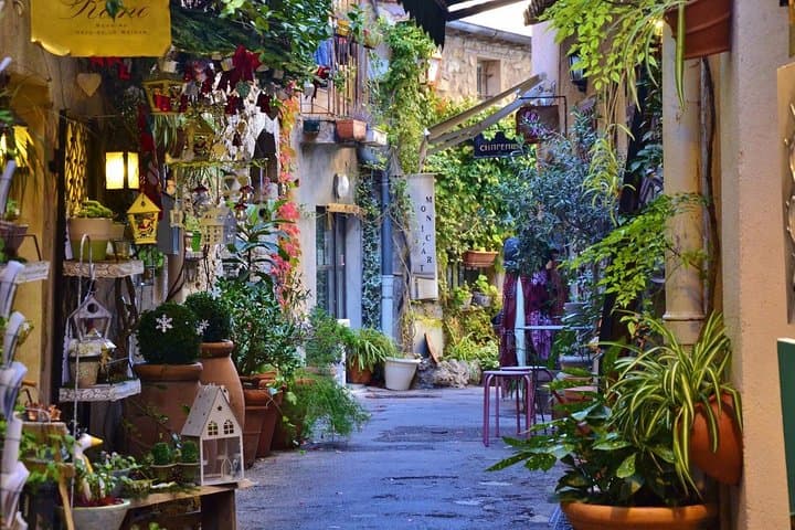 Beautiful Nice History and Attractions - Private tour