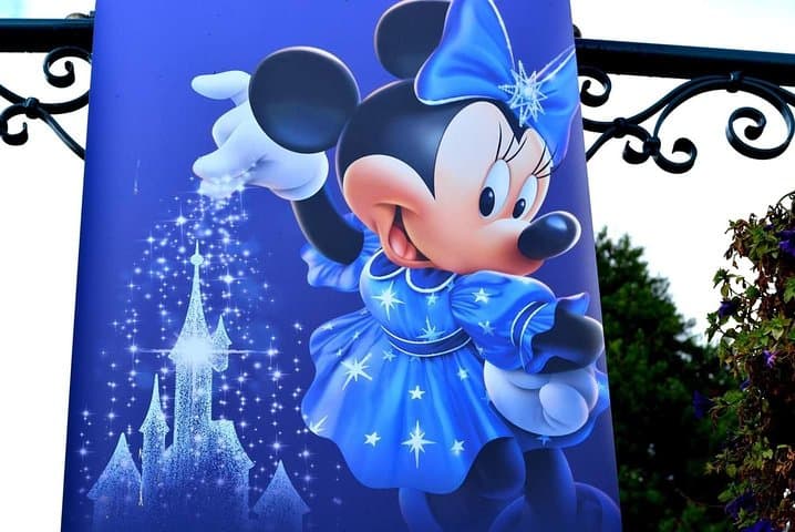 From CDG Airport to Disney or From Disney to CDG Airport (one way)