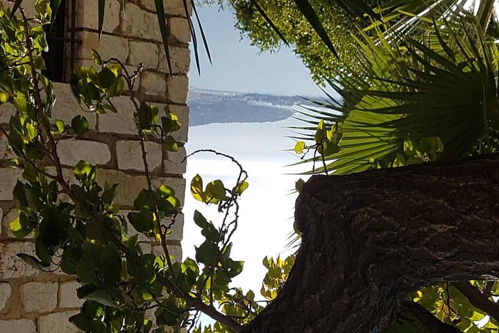 Villefranche Shore Excursion: 6 hrs Private Tour Eze and Monaco