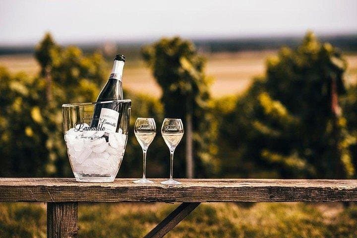 Champagne Lamiable: Stroll and taste in the Grand Cru Champagne vineyard