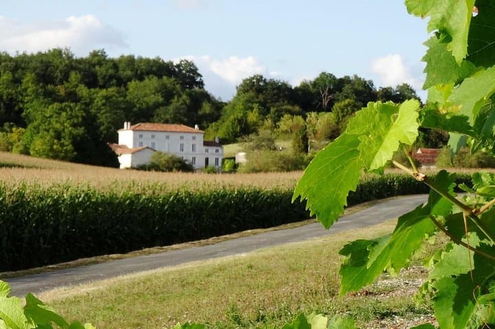 A mansion in the heart of the vineyard of cognac