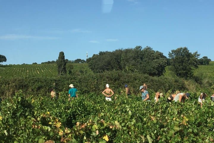 Heritage, wines and gastronomy - 3-day tour
