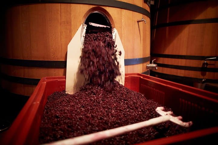 Provence Private Full Day Wine Tour with Wine Tasting