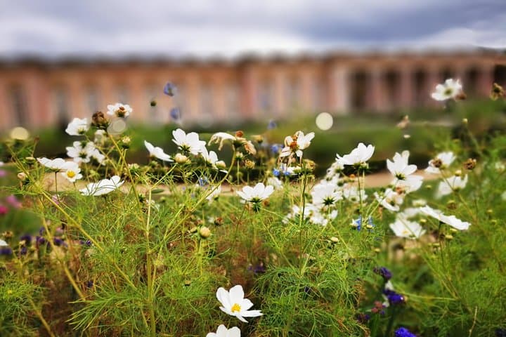 Grand Trianon