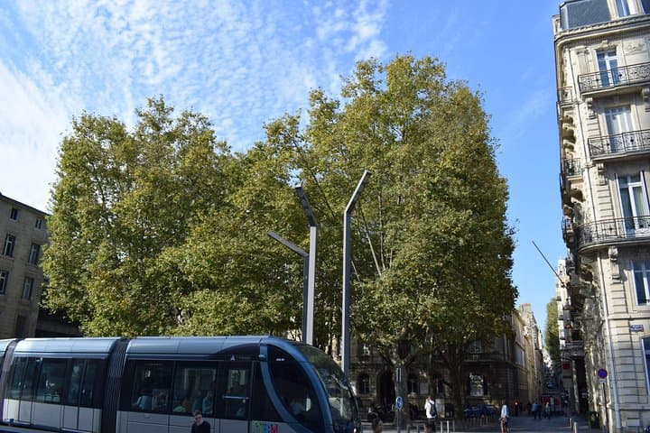 Grand tour of Bordeaux by bike