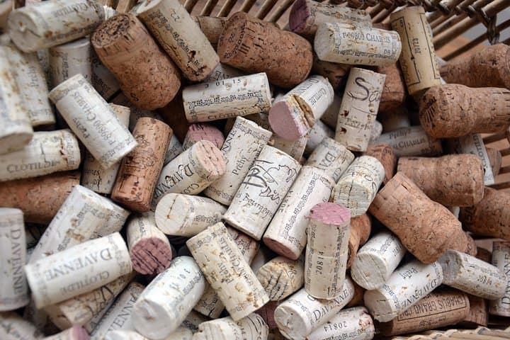 Clotilde Davenne wine and cheese pairing tasting in Chablis