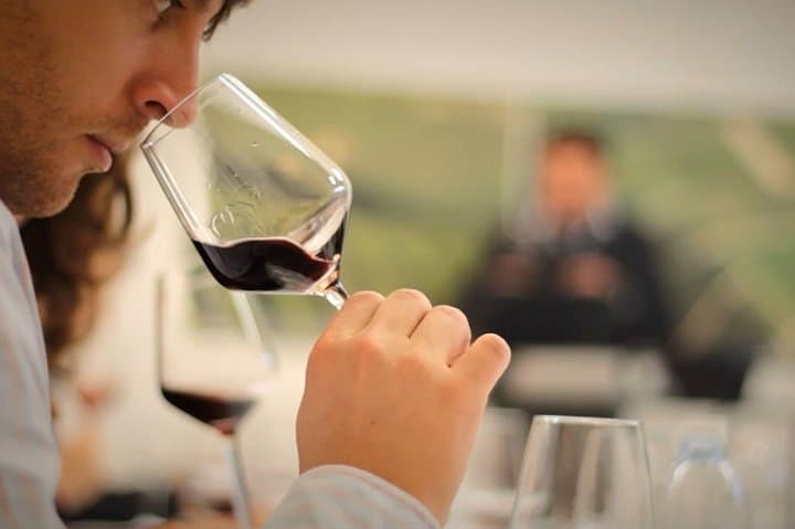 Loire Valley: Wine Tasting & Tour at the Winery