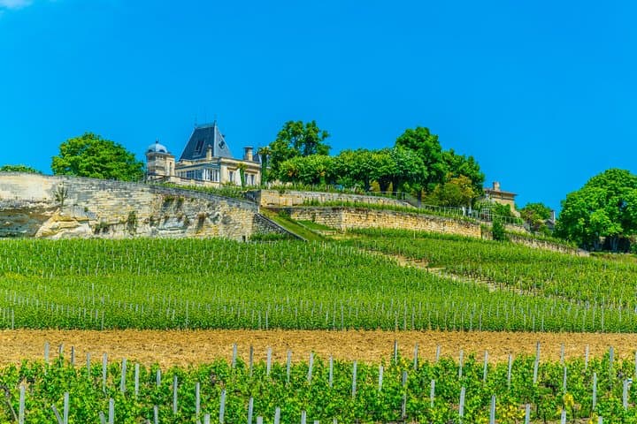 Private Wine Tour in a 2CV vintage car from Bordeaux