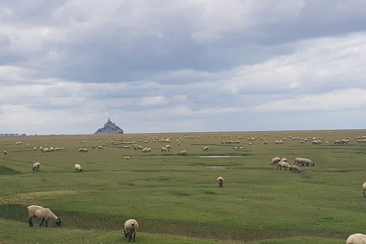 Mont Saint-Michel Private trip from Saint-Malo with local driver