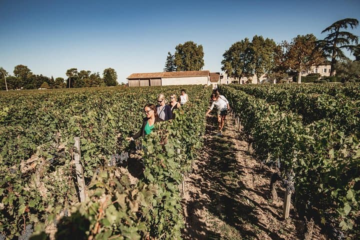 Saint-Emilion Food and Wine Day Tour