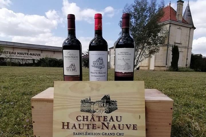 Saint-Émilion: 2 hours - Visit of the vineyard, the cellar and tasting
