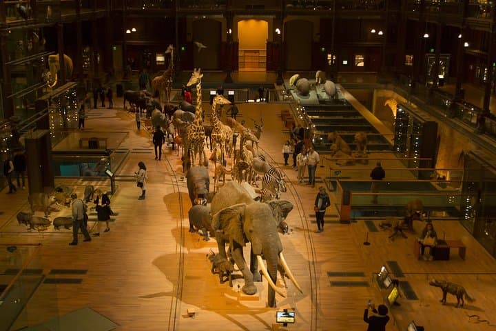 Paris Private Family Tour - Highlights & the Best Museum for Kids