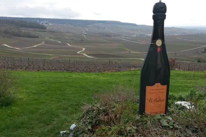 Private Day Trip Tour to Champagne from Paris with a local