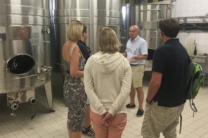 Custom Planned Lyon Rhone Vineyard Tour with Private Driver