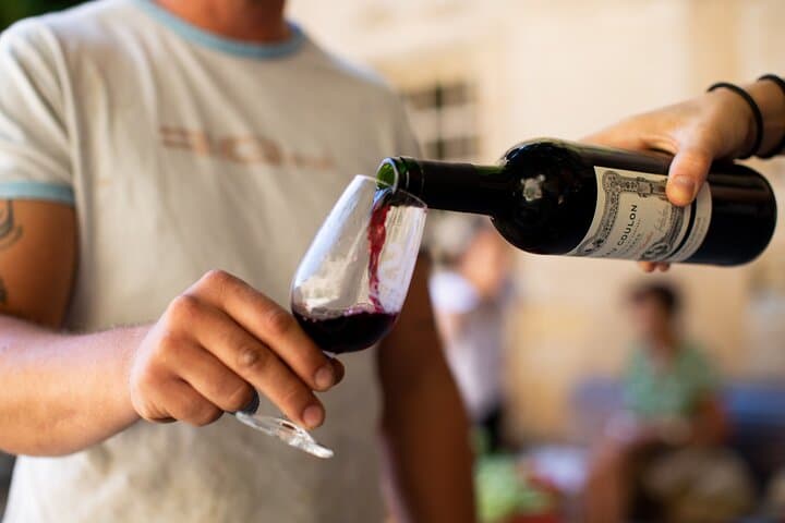 Tasting of our organic wines