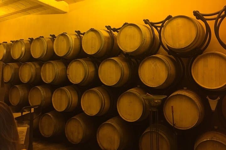 Winery Visit with Food and Wine in Carcassonne