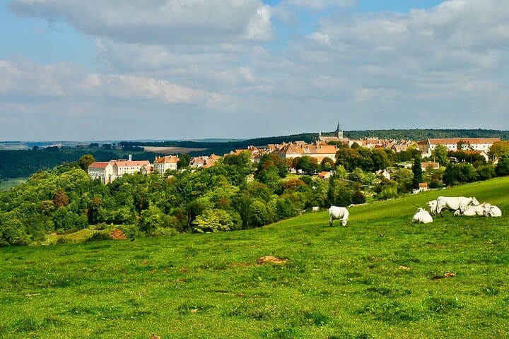 Wine fields. Burgundy.