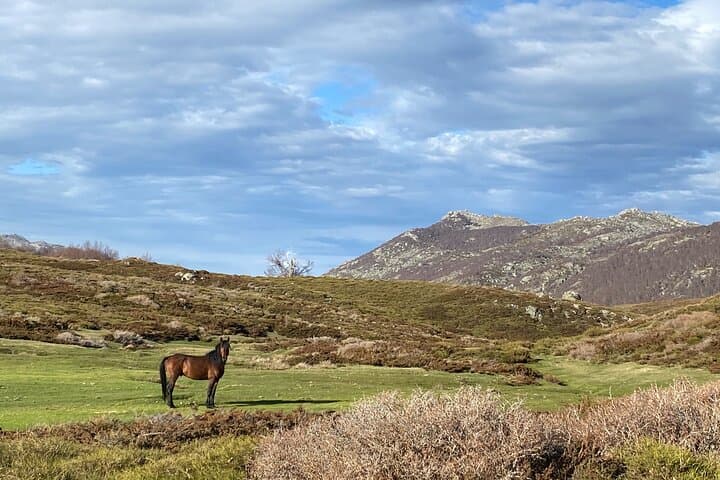 guided ride on the Plateau du Coscione by electric mountain bike