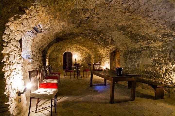 Guided tour of a winery in Vacquières with wine tasting