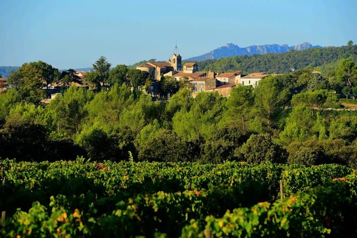 Guided tour of a winery in Vacquières with wine tasting
